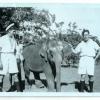 Ron, Ray and elephant, Colombo zoo, Ceylon, November 1946