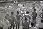Swimming gala at RAF Khormaksar,Aden on January 5, 1958. Photo kindly supplied by Terry Craig.
