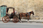 A karrozzin in Valletta, Malta, 2013. Photo: Frank Vincentz. Wikimedia Commons CC BY-SA 3.0