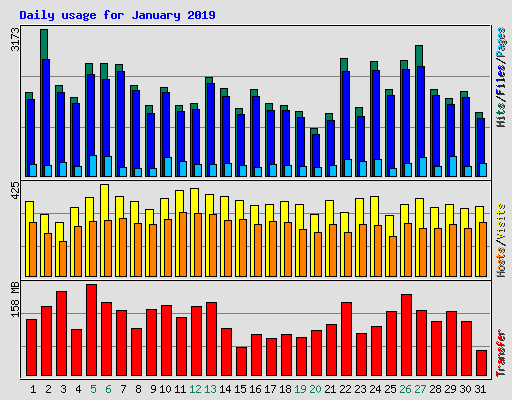 Daily usage for January 2019