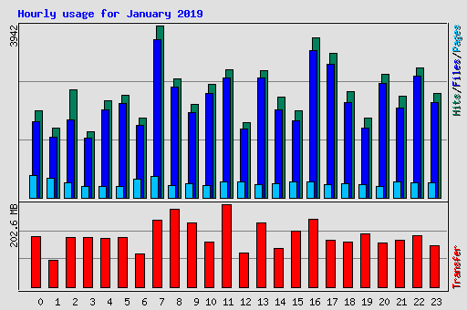 Hourly usage for January 2019