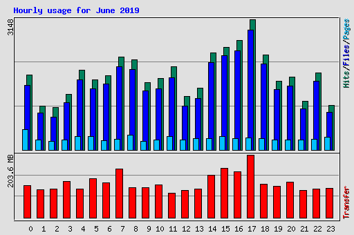 Hourly usage for June 2019