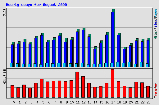 Hourly usage for August 2020