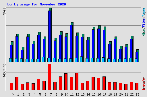 Hourly usage for November 2020