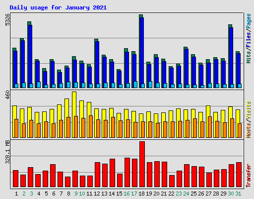 Daily usage for January 2021