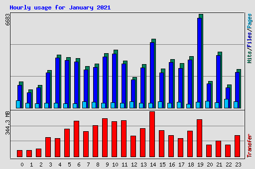 Hourly usage for January 2021