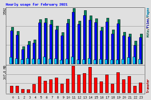 Hourly usage for February 2021