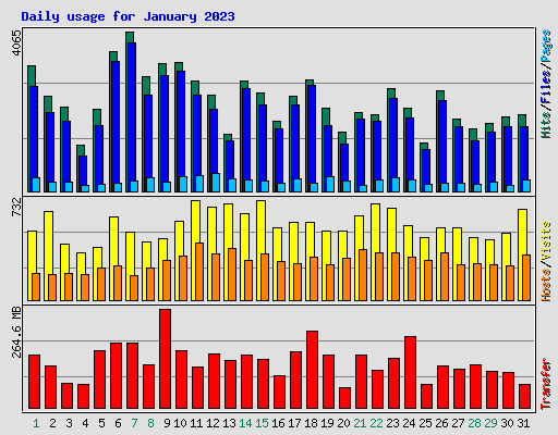 Daily usage for January 2023