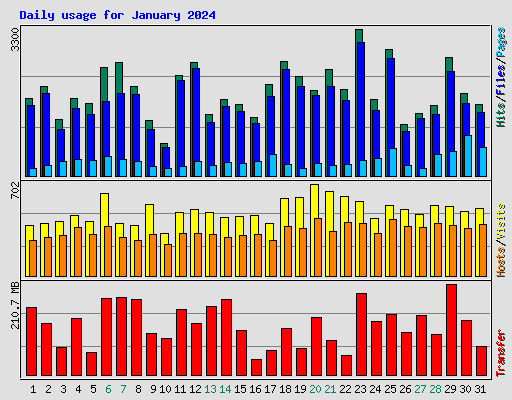 Daily usage for January 2024