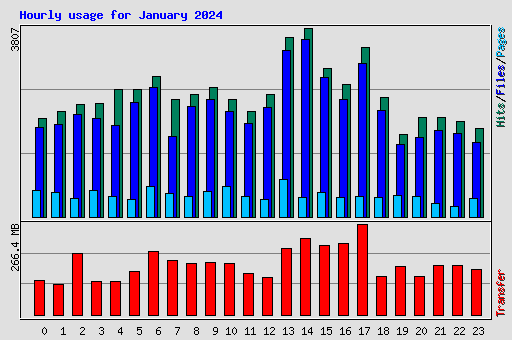 Hourly usage for January 2024