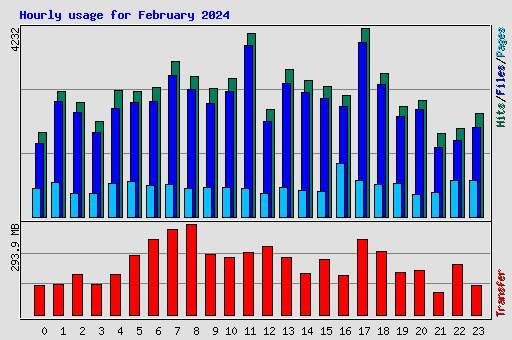 Hourly usage for February 2024