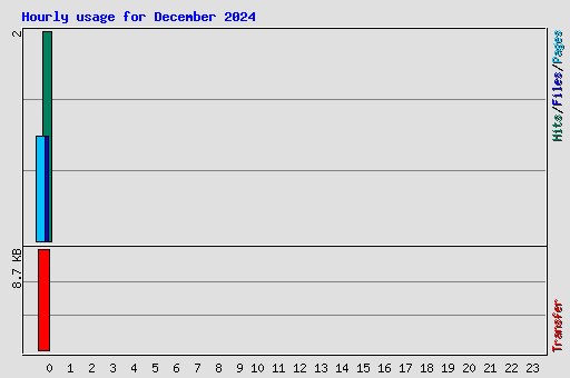 Hourly usage for December 2024