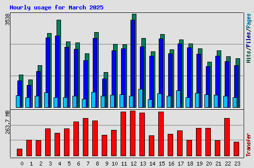 Hourly usage for March 2025